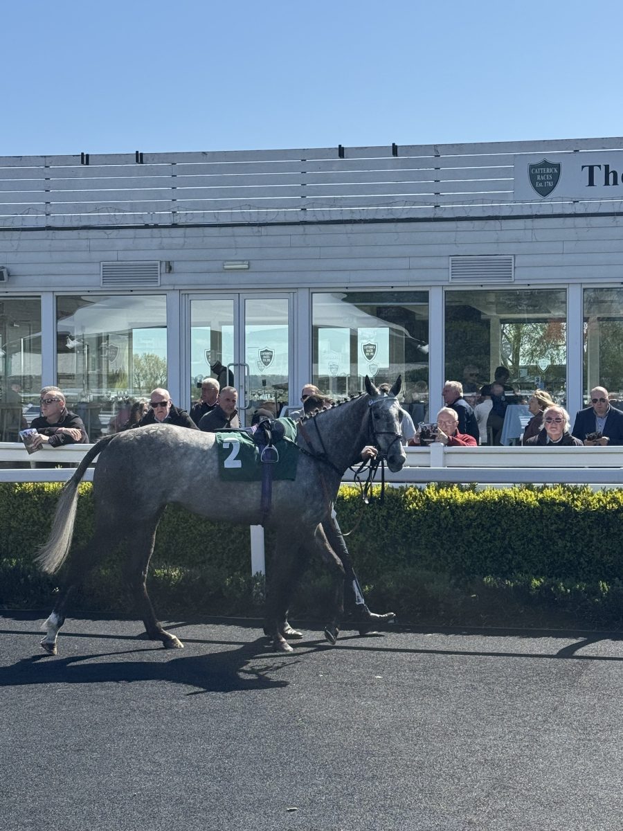 Naana's Shadow pre-race