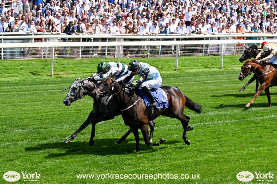 Naana's Shadow battling to win at York