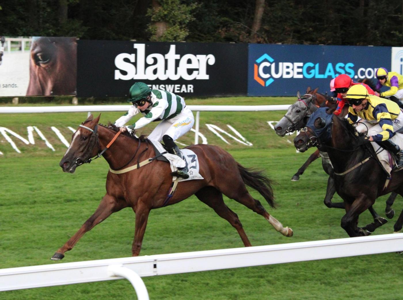 Dandy Magic winning at Hamilton