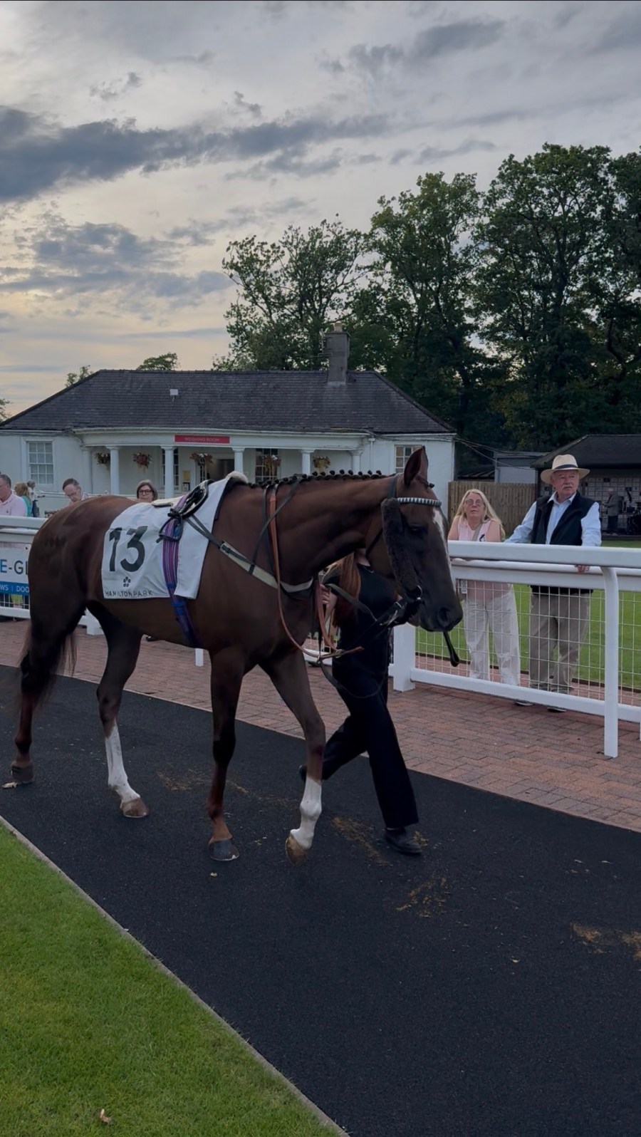 Dandy Magic in the parade ring